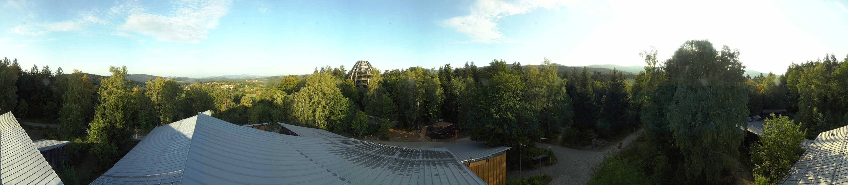 Archiv Foto Webcam Neuschönau - Baumwipfelpfad Bayerischer Wald