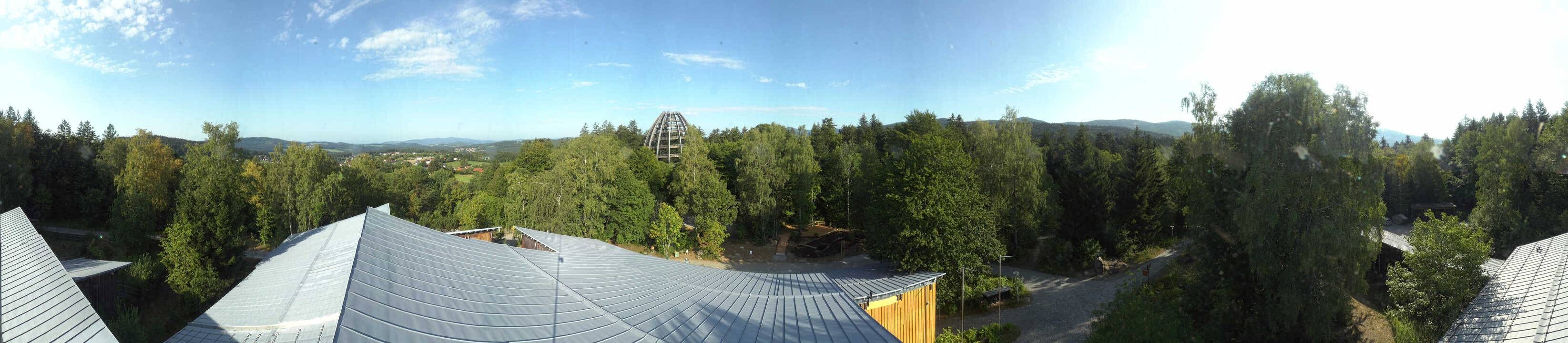 Archiv Foto Webcam Neuschönau - Baumwipfelpfad Bayerischer Wald