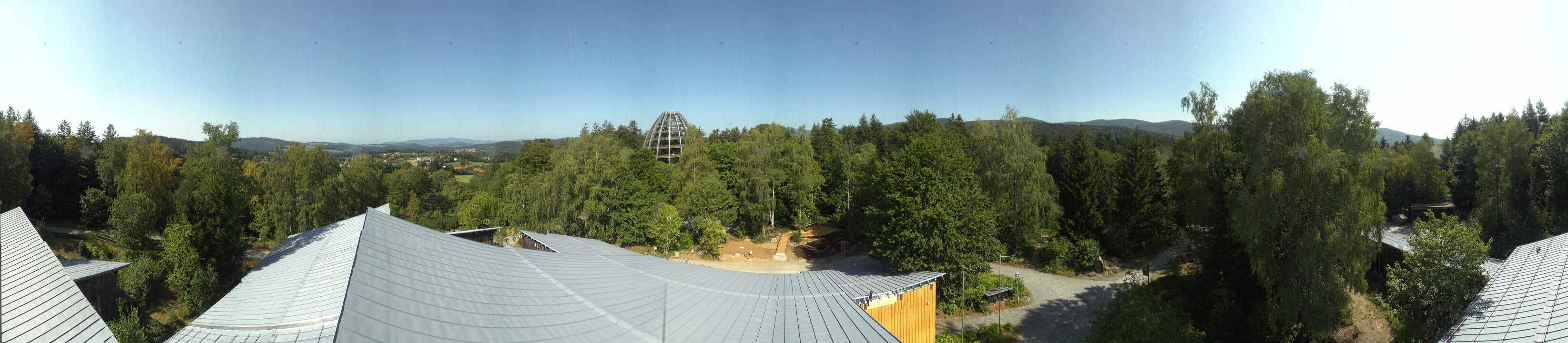 Archiv Foto Webcam Neuschönau - Baumwipfelpfad Bayerischer Wald