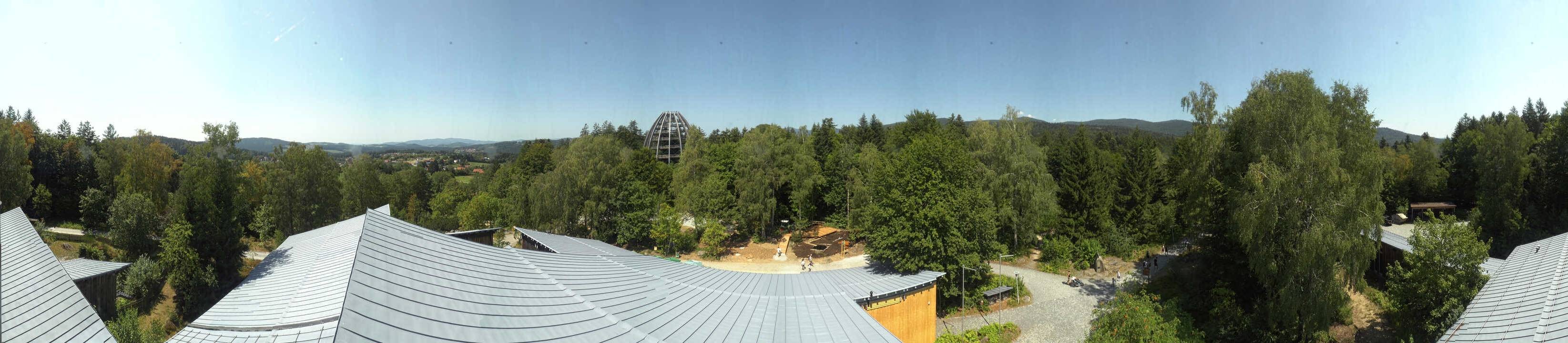 Archiv Foto Webcam Neuschönau - Baumwipfelpfad Bayerischer Wald