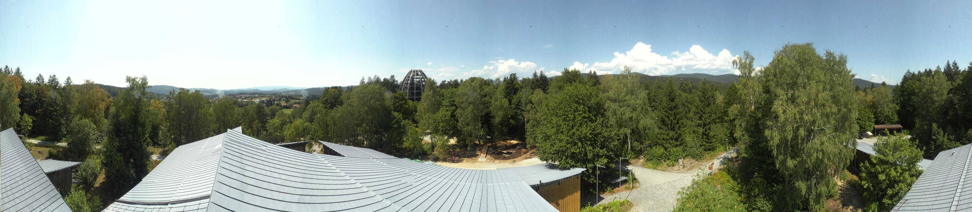 Archiv Foto Webcam Neuschönau - Baumwipfelpfad Bayerischer Wald