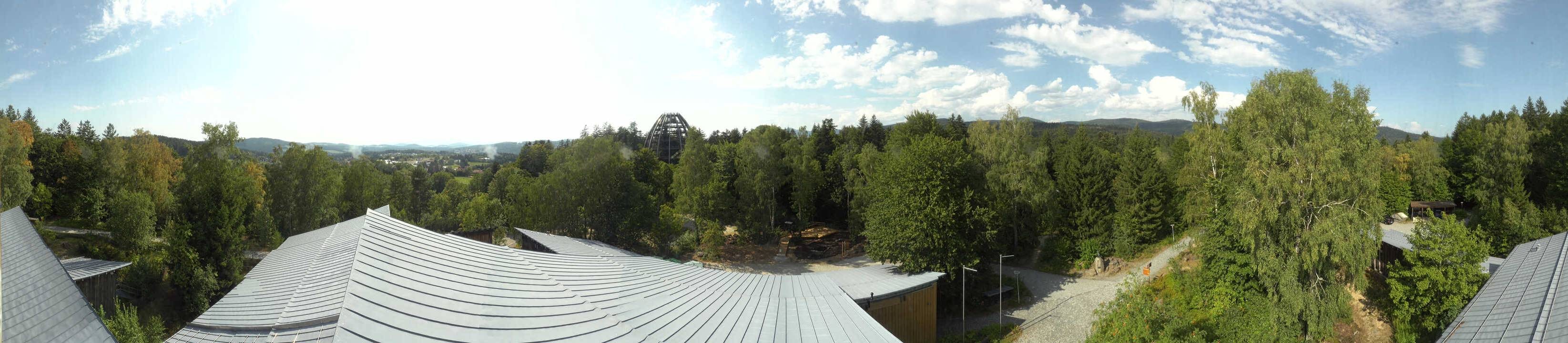 Archiv Foto Webcam Neuschönau - Baumwipfelpfad Bayerischer Wald