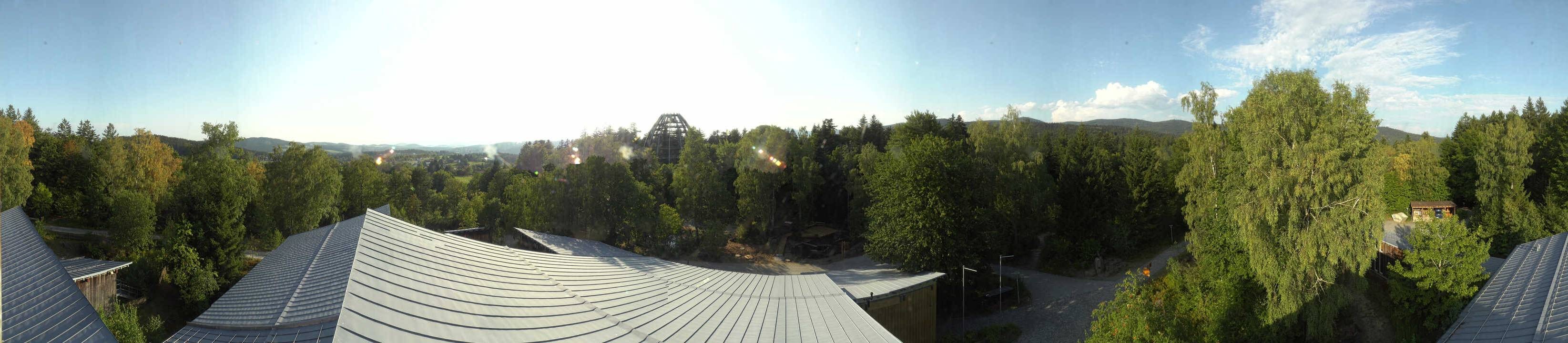 Archiv Foto Webcam Neuschönau - Baumwipfelpfad Bayerischer Wald