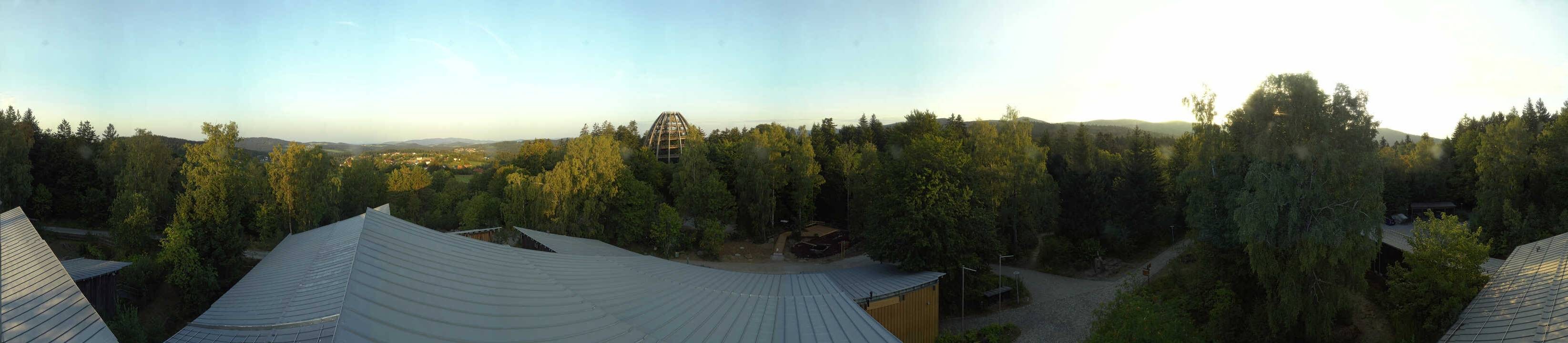 Archiv Foto Webcam Neuschönau - Baumwipfelpfad Bayerischer Wald