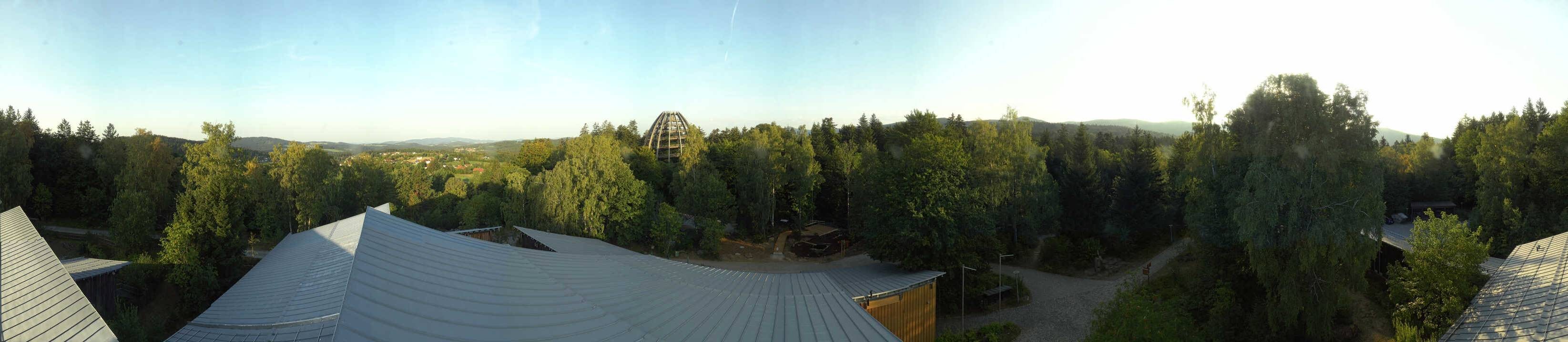 Archiv Foto Webcam Neuschönau - Baumwipfelpfad Bayerischer Wald