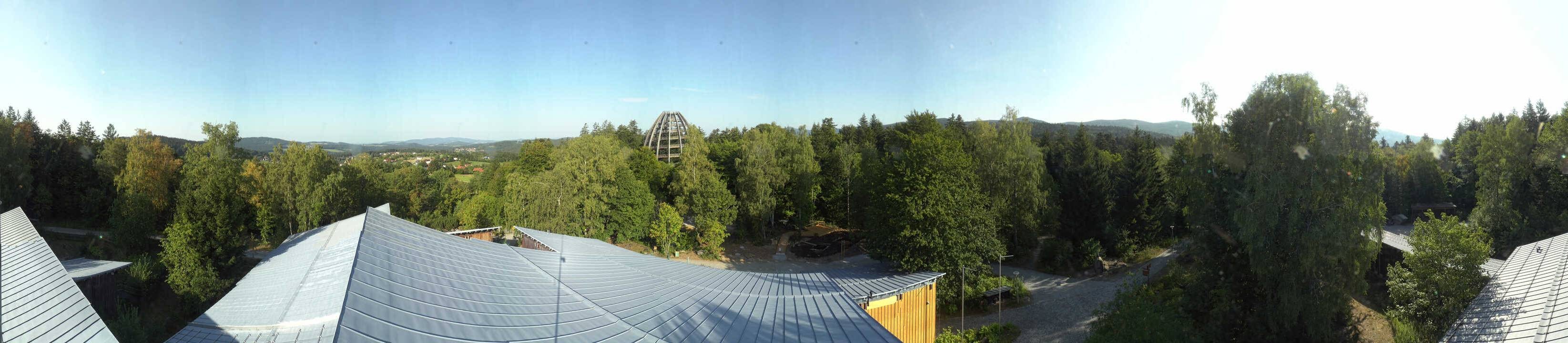 Archiv Foto Webcam Neuschönau - Baumwipfelpfad Bayerischer Wald