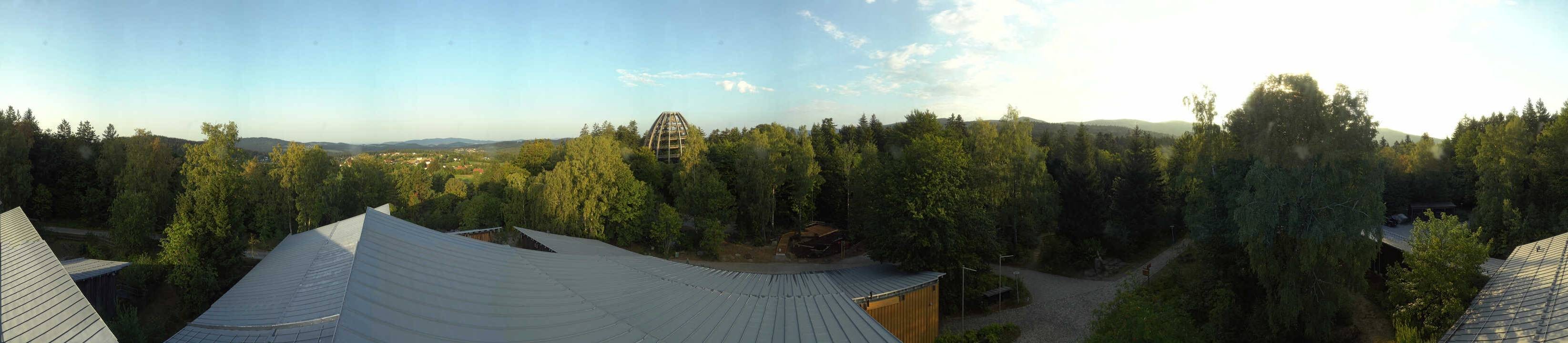 Archiv Foto Webcam Neuschönau - Baumwipfelpfad Bayerischer Wald