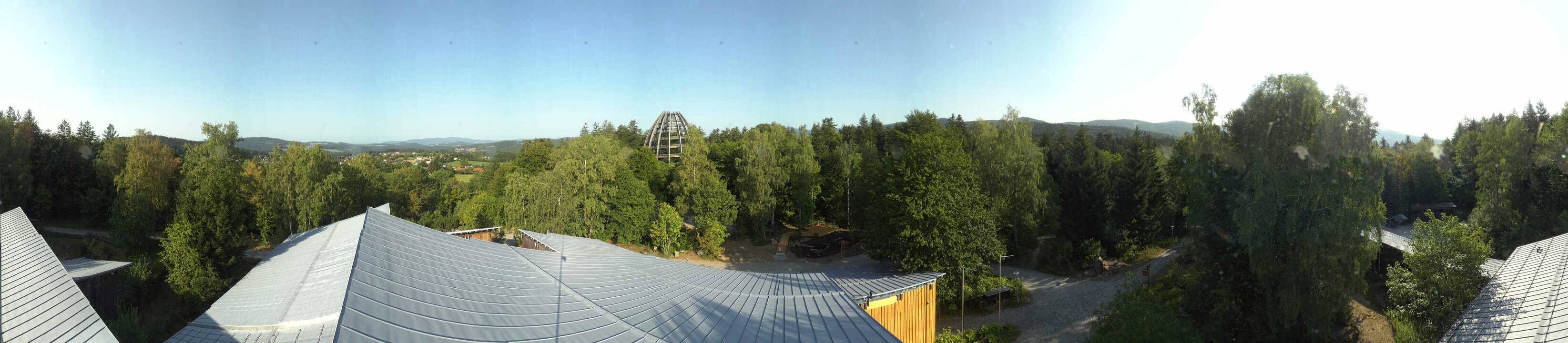 Archiv Foto Webcam Neuschönau - Baumwipfelpfad Bayerischer Wald
