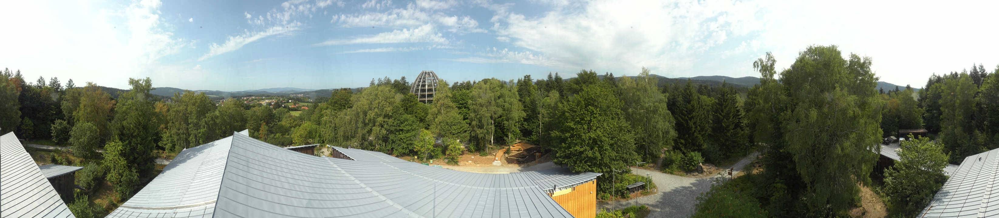Archiv Foto Webcam Neuschönau - Baumwipfelpfad Bayerischer Wald