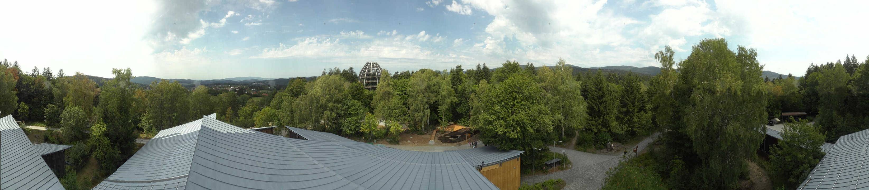 Archiv Foto Webcam Neuschönau - Baumwipfelpfad Bayerischer Wald
