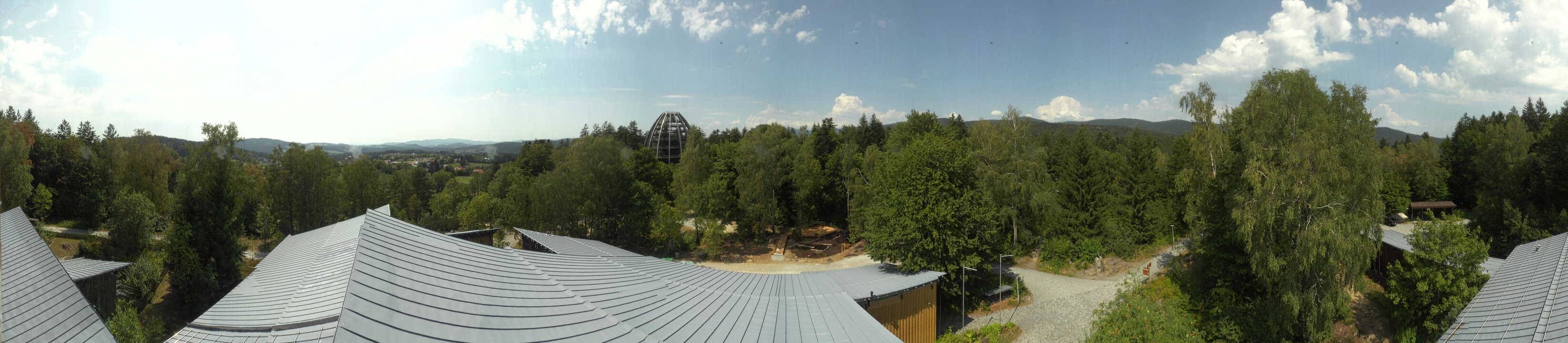 Archiv Foto Webcam Neuschönau - Baumwipfelpfad Bayerischer Wald