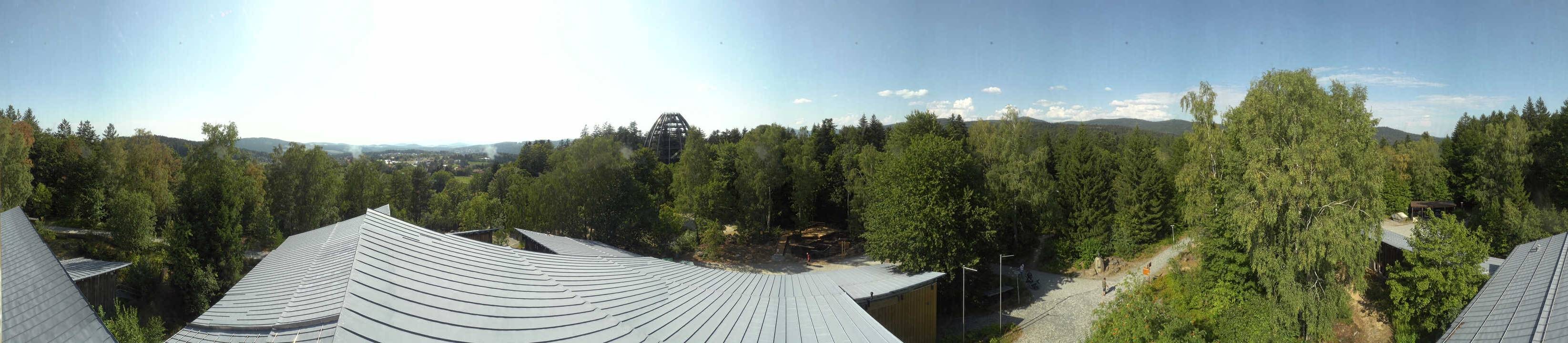 Archiv Foto Webcam Neuschönau - Baumwipfelpfad Bayerischer Wald