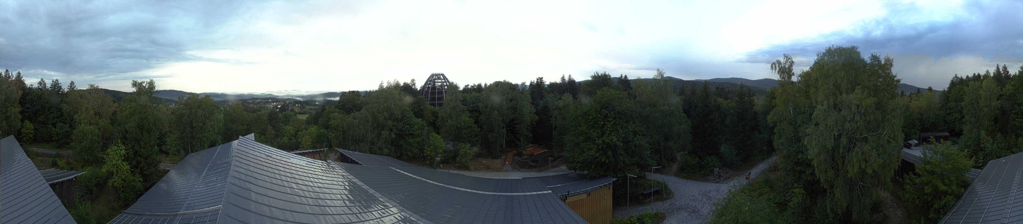 Archiv Foto Webcam Neuschönau - Baumwipfelpfad Bayerischer Wald