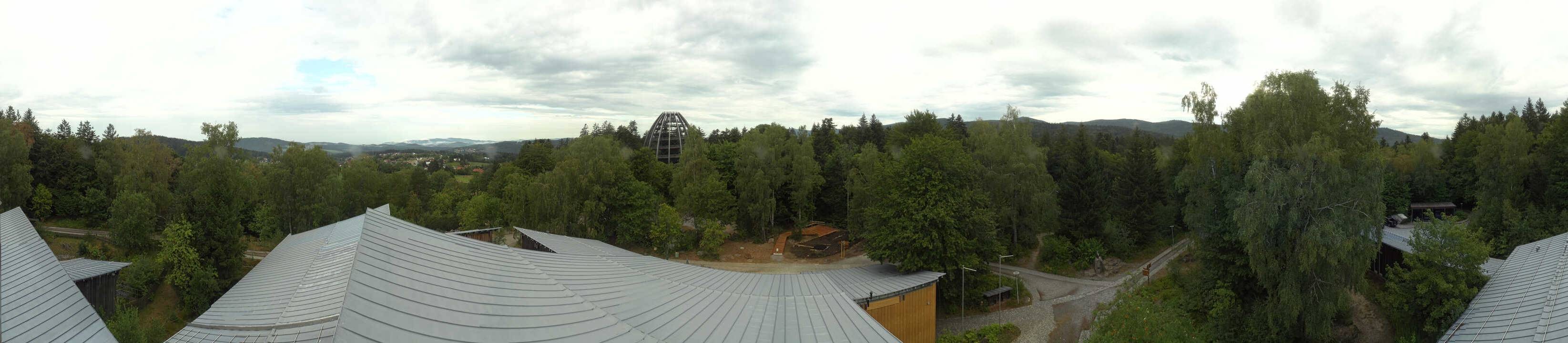 Archiv Foto Webcam Neuschönau - Baumwipfelpfad Bayerischer Wald