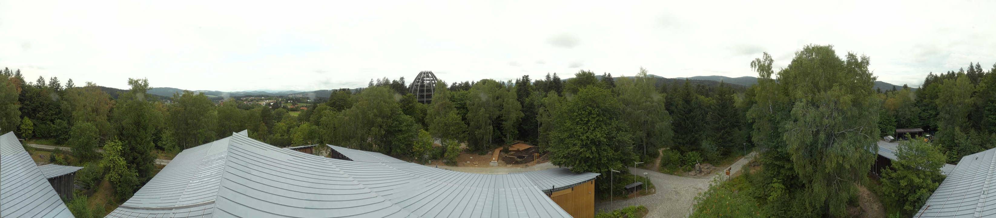 Archiv Foto Webcam Neuschönau - Baumwipfelpfad Bayerischer Wald