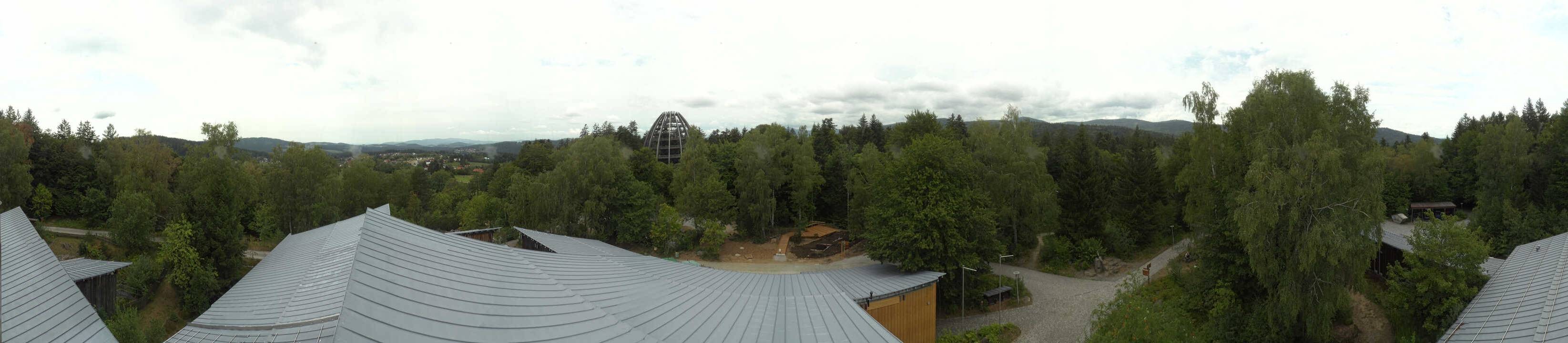 Archiv Foto Webcam Neuschönau - Baumwipfelpfad Bayerischer Wald