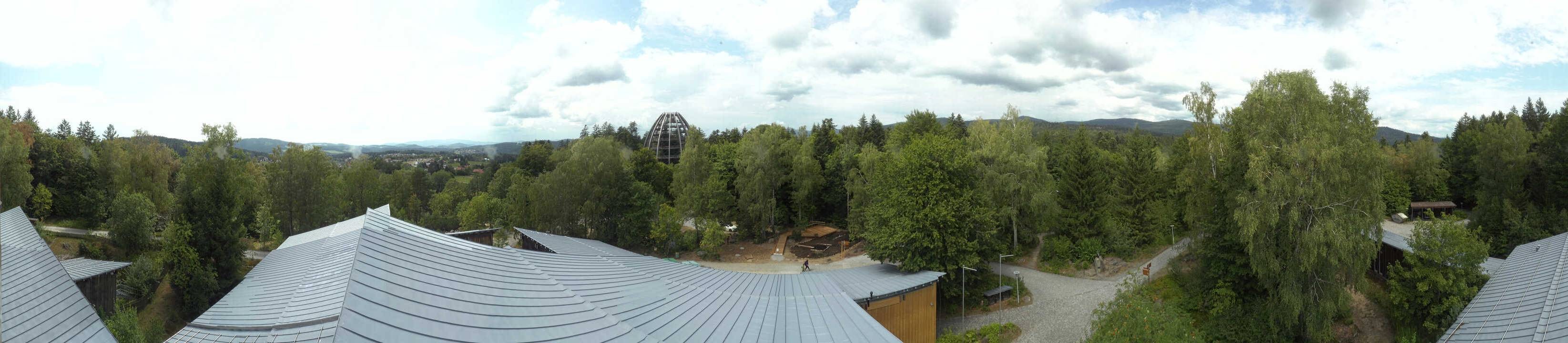 Archiv Foto Webcam Neuschönau - Baumwipfelpfad Bayerischer Wald