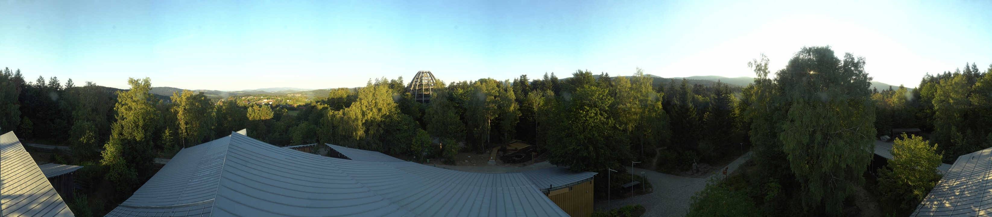 Archived image Webcam Neuschönau - Tree Top Walk Bavarian Forest