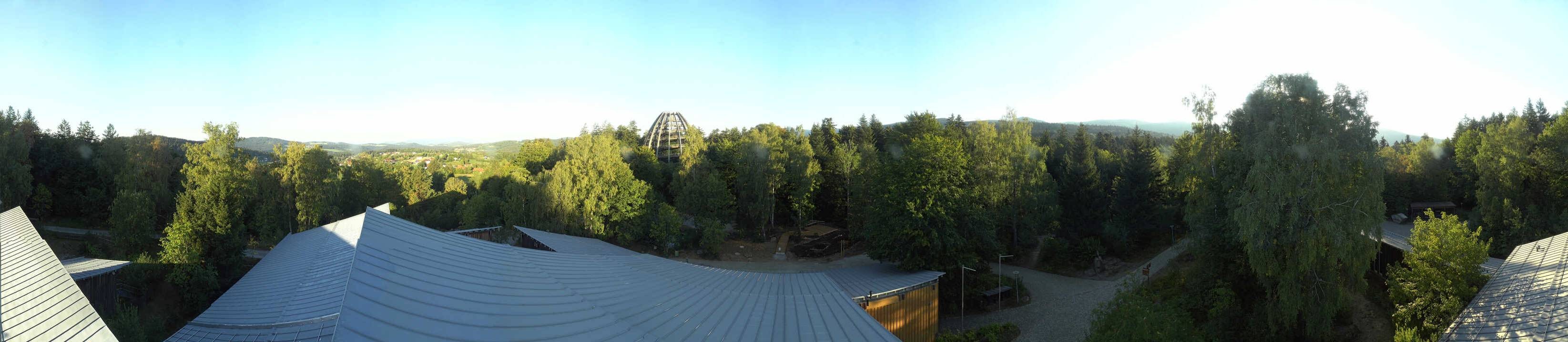 Archived image Webcam Neuschönau - Tree Top Walk Bavarian Forest
