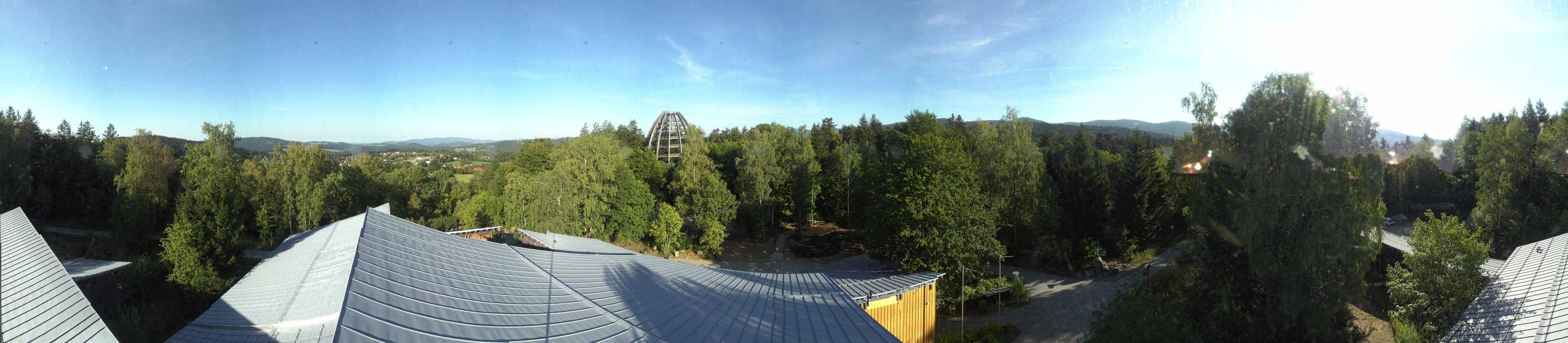 Archived image Webcam Neuschönau - Tree Top Walk Bavarian Forest