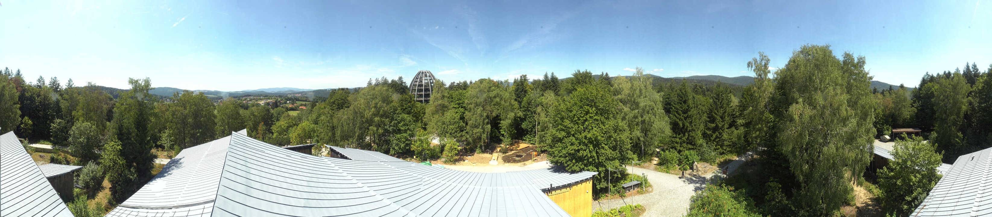 Archived image Webcam Neuschönau - Tree Top Walk Bavarian Forest
