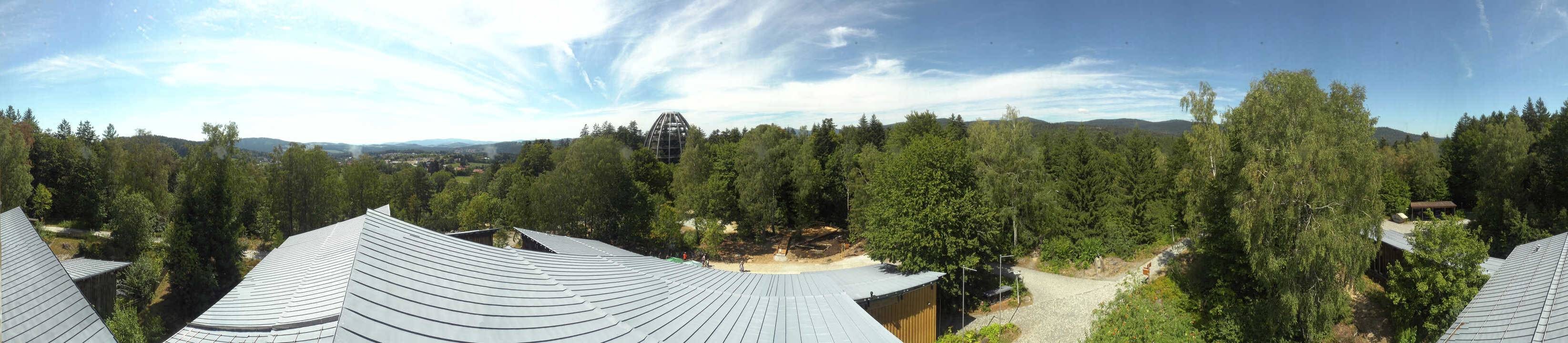 Archived image Webcam Neuschönau - Tree Top Walk Bavarian Forest