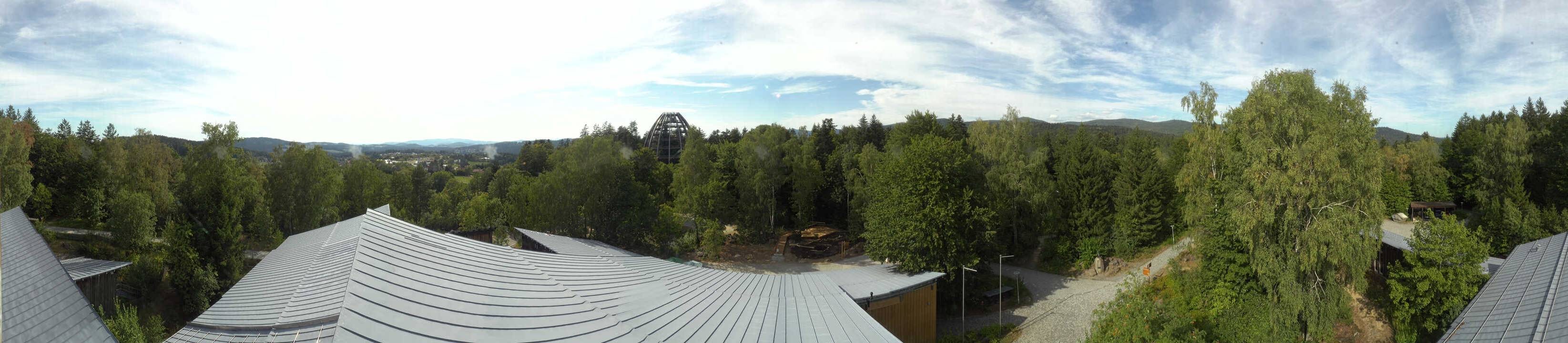 Archived image Webcam Neuschönau - Tree Top Walk Bavarian Forest