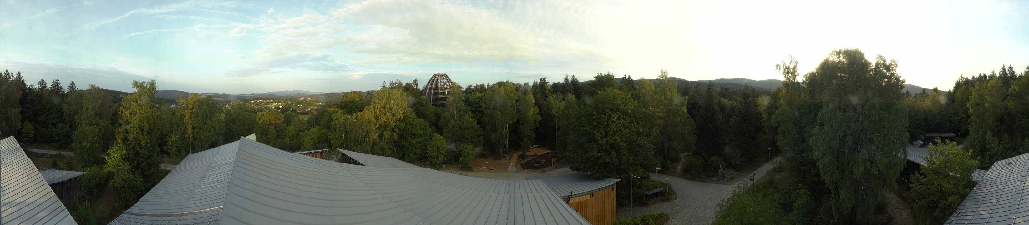 Archiv Foto Webcam Neuschönau - Baumwipfelpfad Bayerischer Wald