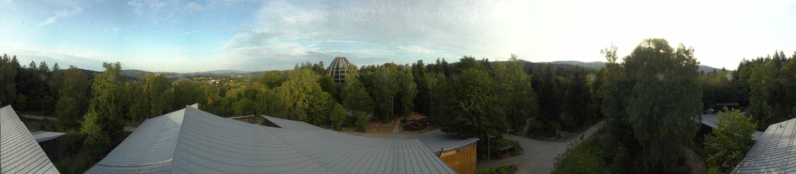 Archiv Foto Webcam Neuschönau - Baumwipfelpfad Bayerischer Wald