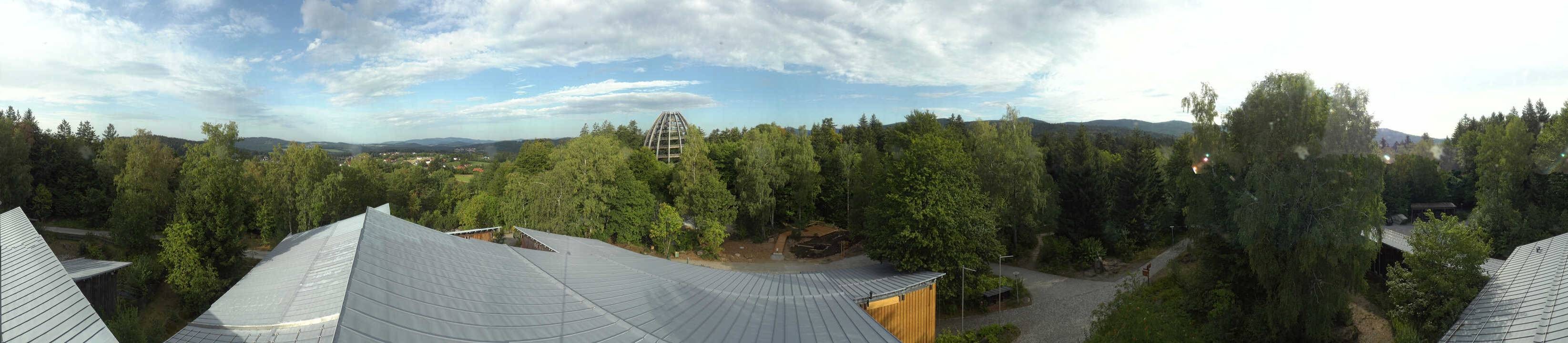 Archiv Foto Webcam Neuschönau - Baumwipfelpfad Bayerischer Wald