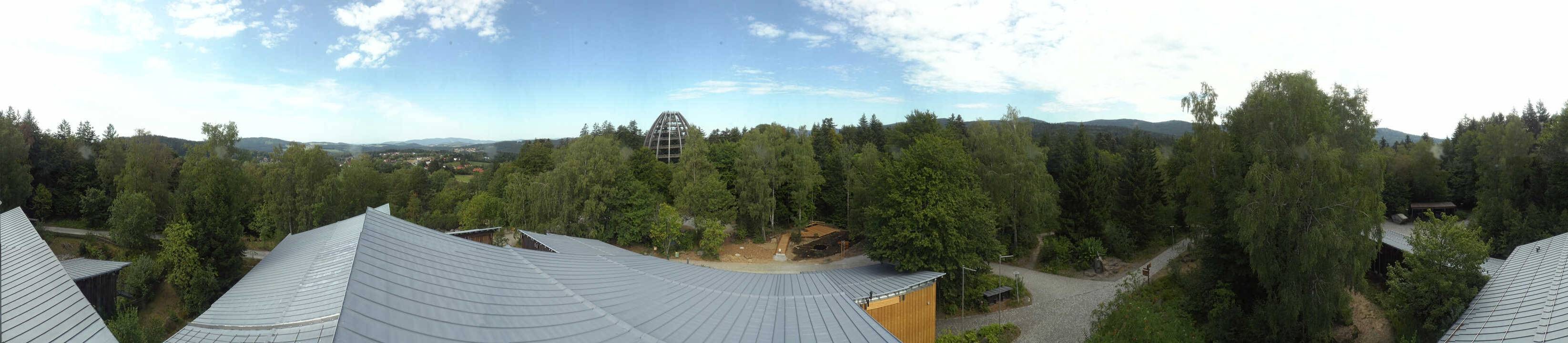 Archiv Foto Webcam Neuschönau - Baumwipfelpfad Bayerischer Wald