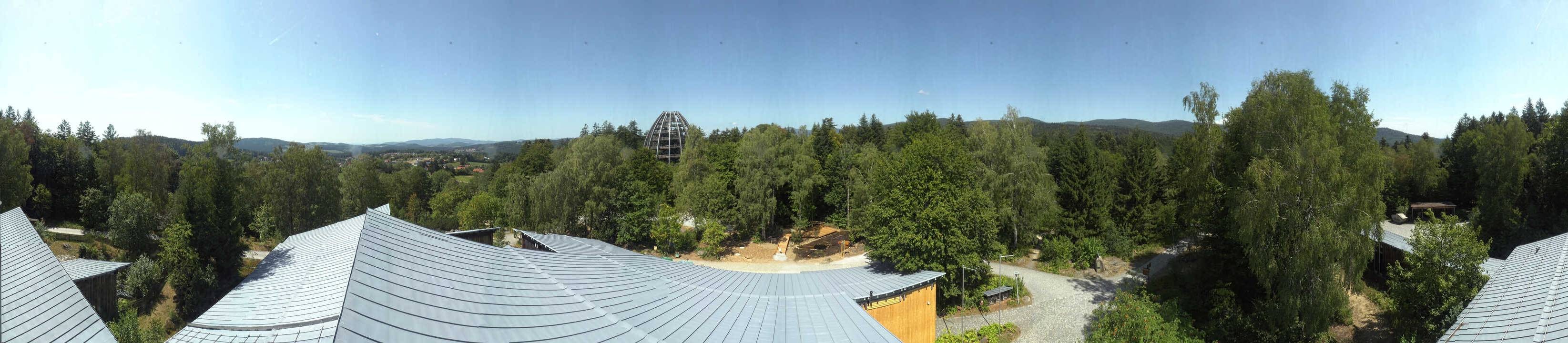 Archiv Foto Webcam Neuschönau - Baumwipfelpfad Bayerischer Wald