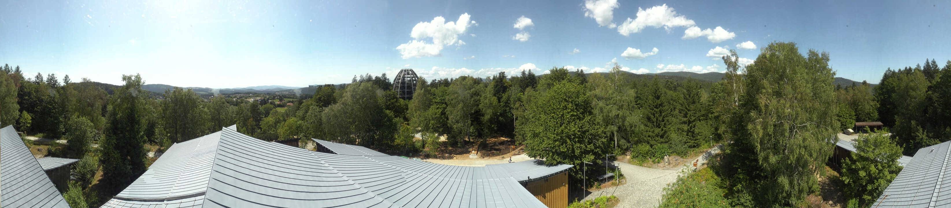 Archiv Foto Webcam Neuschönau - Baumwipfelpfad Bayerischer Wald