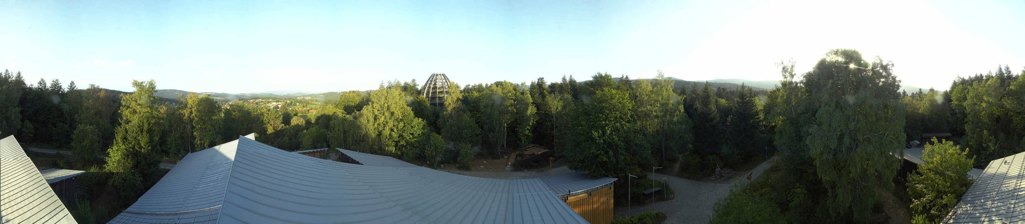 Archiv Foto Webcam Neuschönau - Baumwipfelpfad Bayerischer Wald