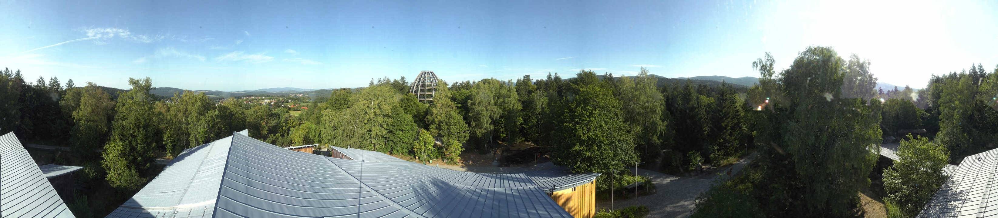 Archiv Foto Webcam Neuschönau - Baumwipfelpfad Bayerischer Wald