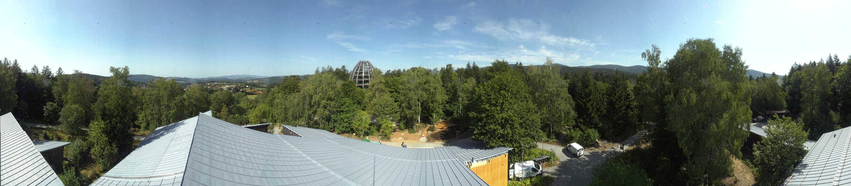 Archiv Foto Webcam Neuschönau - Baumwipfelpfad Bayerischer Wald