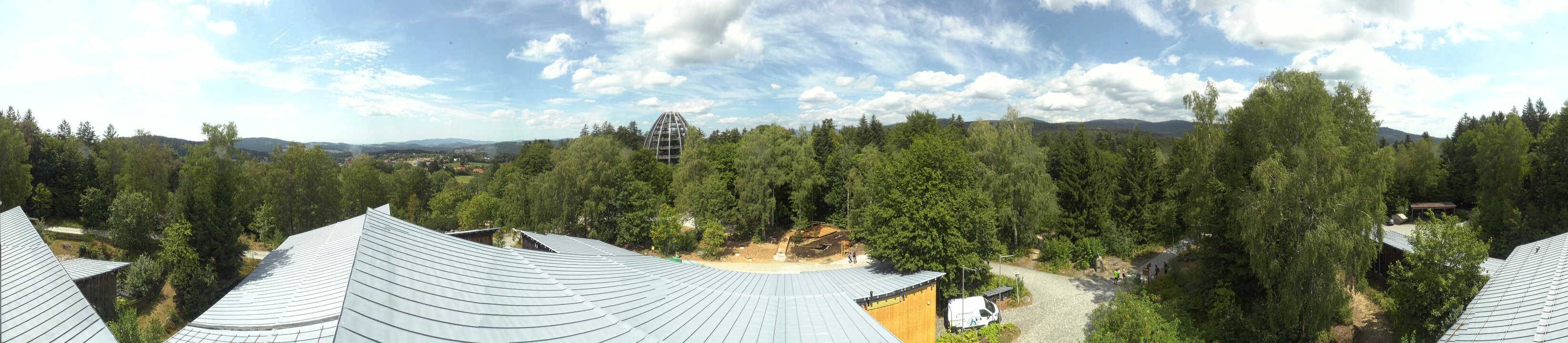 Archiv Foto Webcam Neuschönau - Baumwipfelpfad Bayerischer Wald