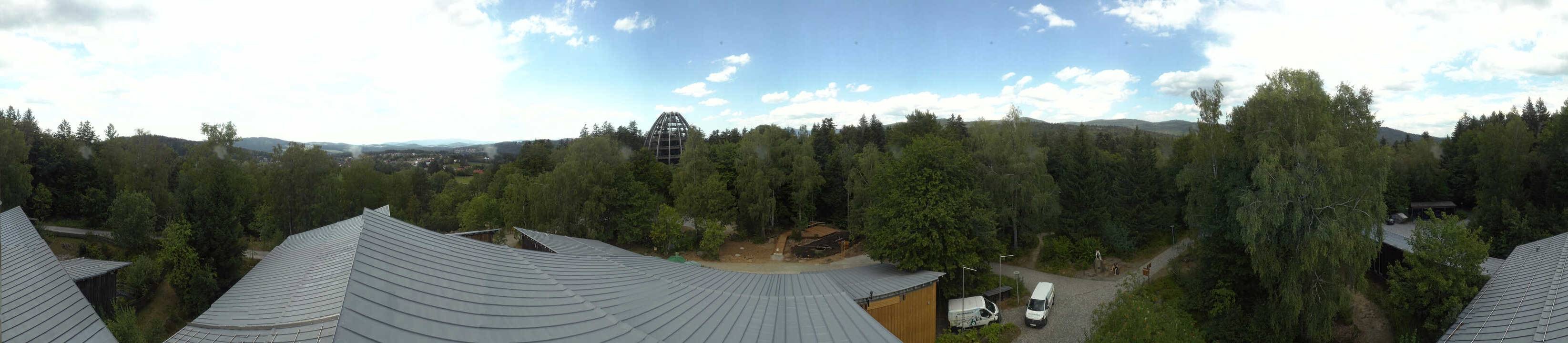 Archiv Foto Webcam Neuschönau - Baumwipfelpfad Bayerischer Wald