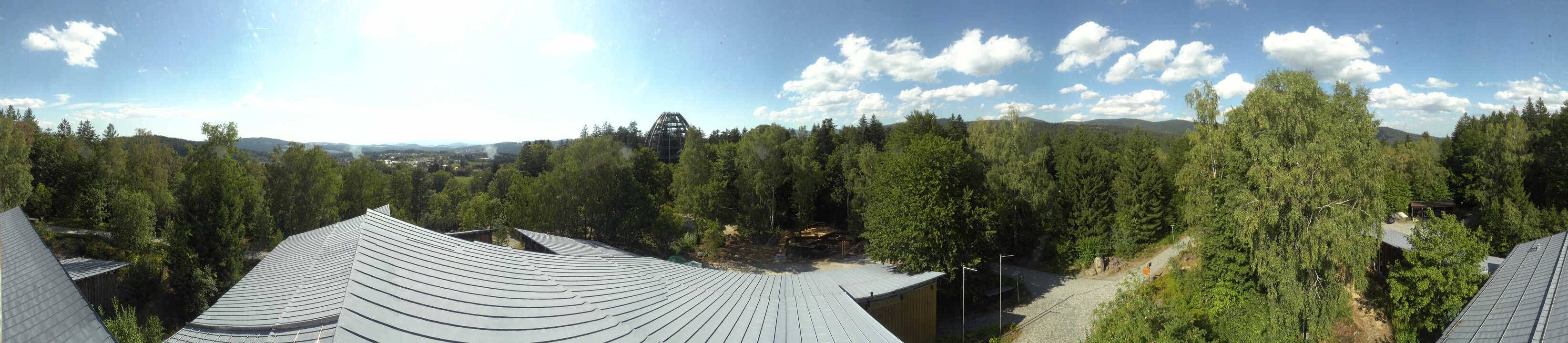 Archiv Foto Webcam Neuschönau - Baumwipfelpfad Bayerischer Wald