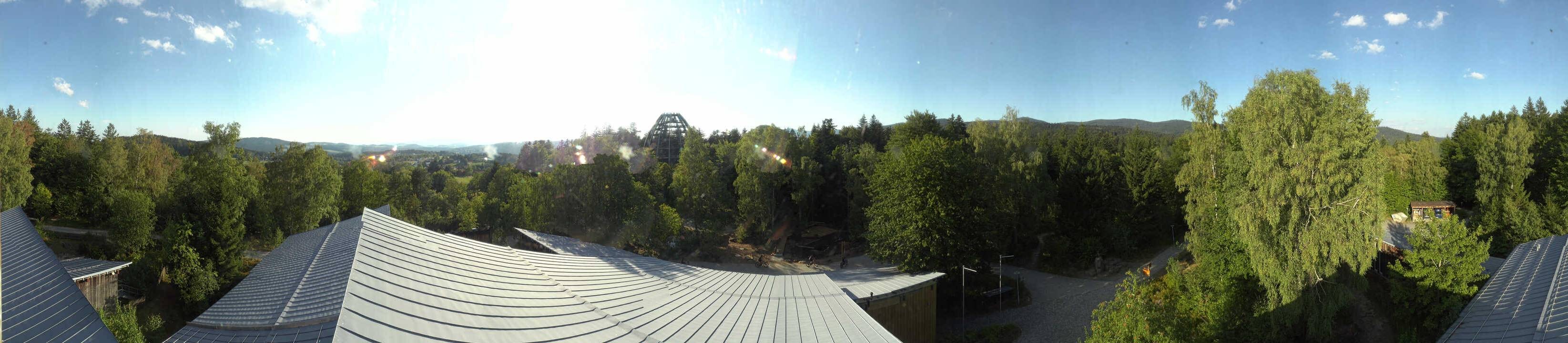 Archiv Foto Webcam Neuschönau - Baumwipfelpfad Bayerischer Wald