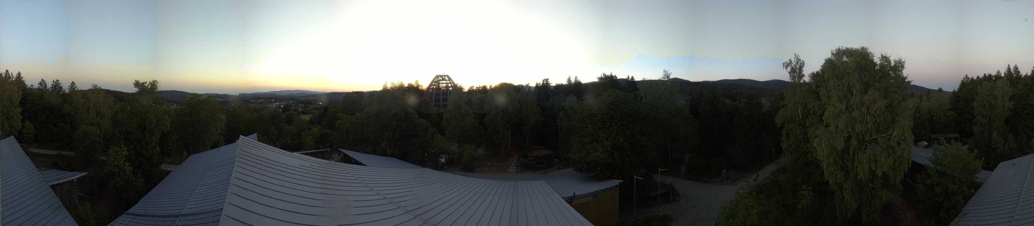 Archiv Foto Webcam Neuschönau - Baumwipfelpfad Bayerischer Wald