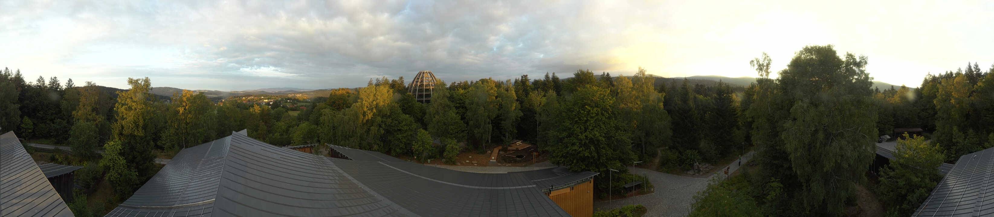 Archived image Webcam Neuschönau - Tree Top Walk Bavarian Forest