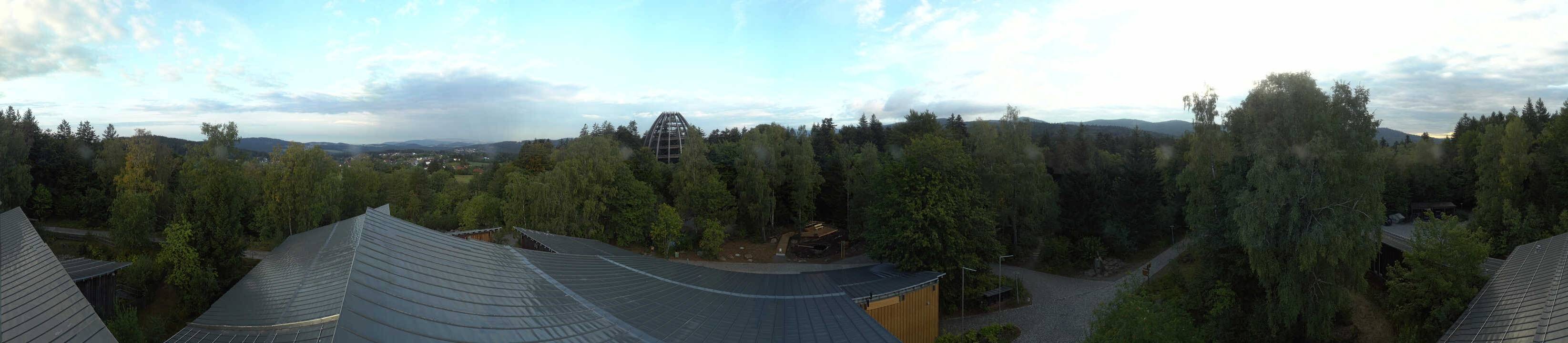 Archived image Webcam Neuschönau - Tree Top Walk Bavarian Forest
