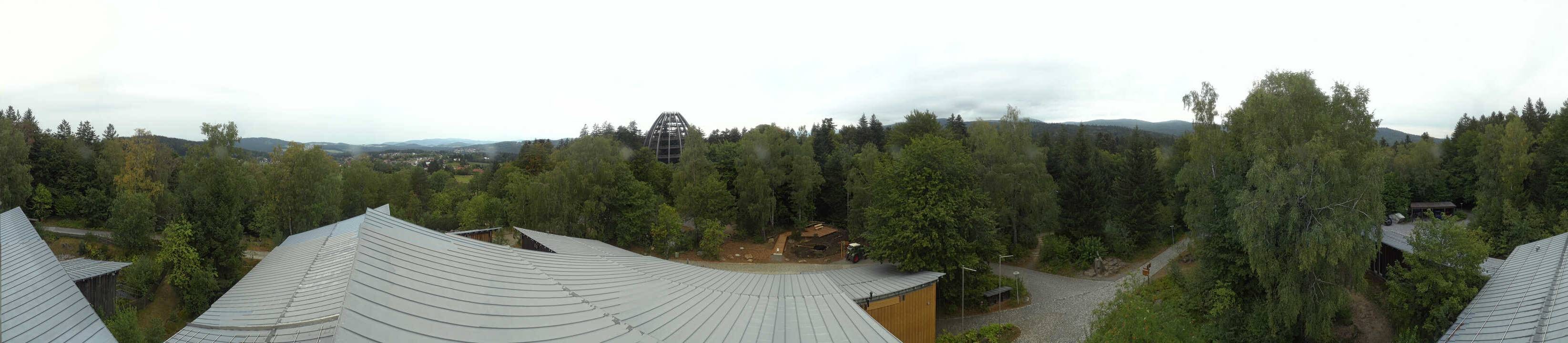 Archived image Webcam Neuschönau - Tree Top Walk Bavarian Forest