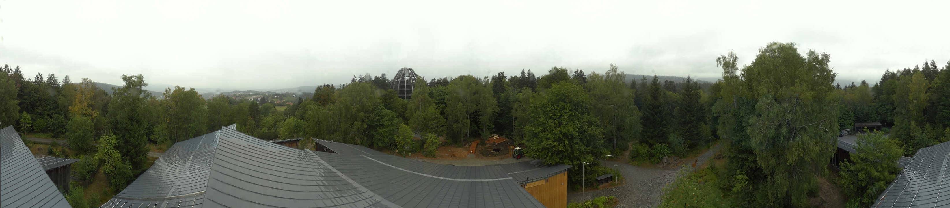 Archived image Webcam Neuschönau - Tree Top Walk Bavarian Forest
