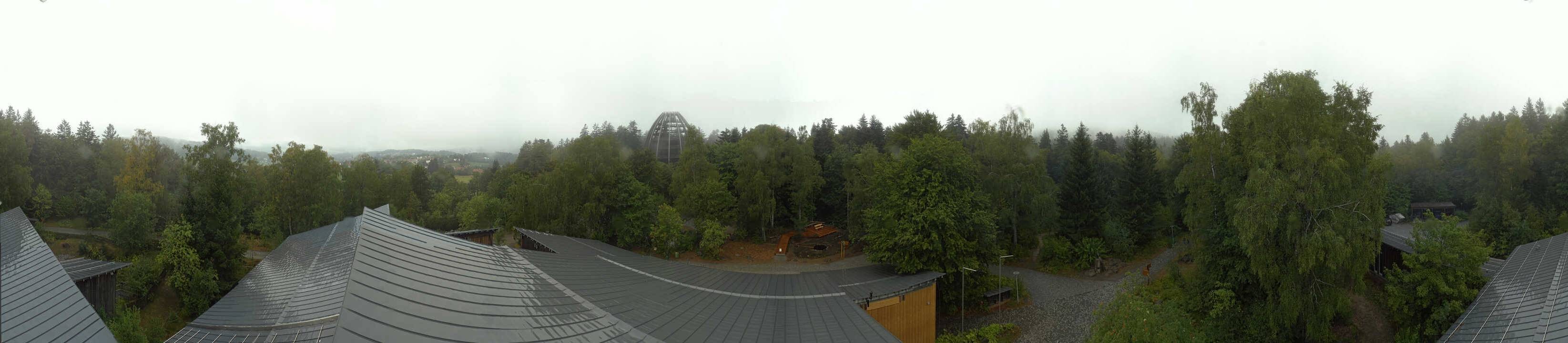 Archived image Webcam Neuschönau - Tree Top Walk Bavarian Forest