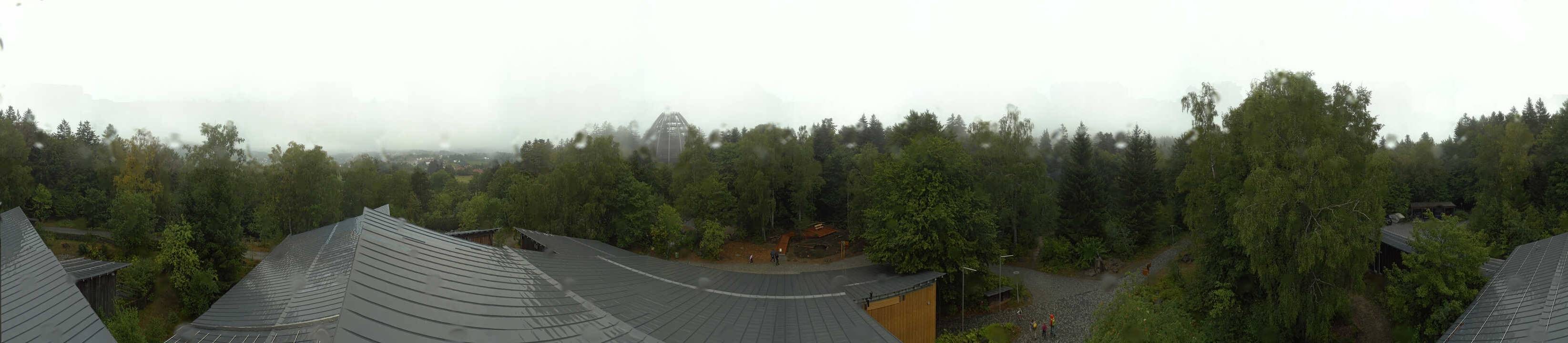 Archiv Foto Webcam Neuschönau - Baumwipfelpfad Bayerischer Wald