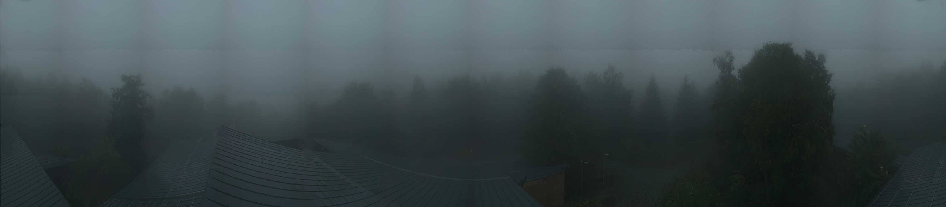 Archiv Foto Webcam Neuschönau - Baumwipfelpfad Bayerischer Wald