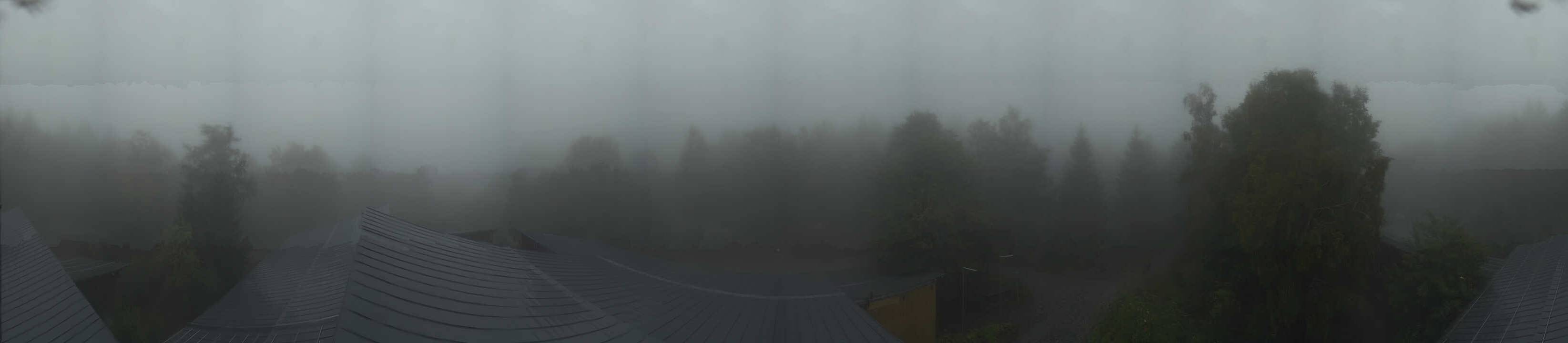 Archiv Foto Webcam Neuschönau - Baumwipfelpfad Bayerischer Wald