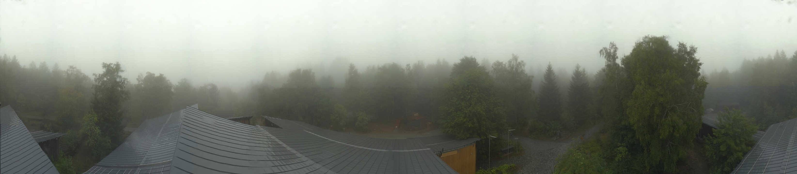 Archiv Foto Webcam Neuschönau - Baumwipfelpfad Bayerischer Wald
